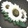 White Sunflower Corsage - Helms, Hats and Masks Level 1-50 - Items