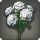 White Hydrangeas - Miscellany - Items